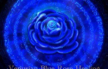 Jamie_Venus_Blue_Rose