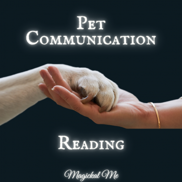 Pet Communication Readings